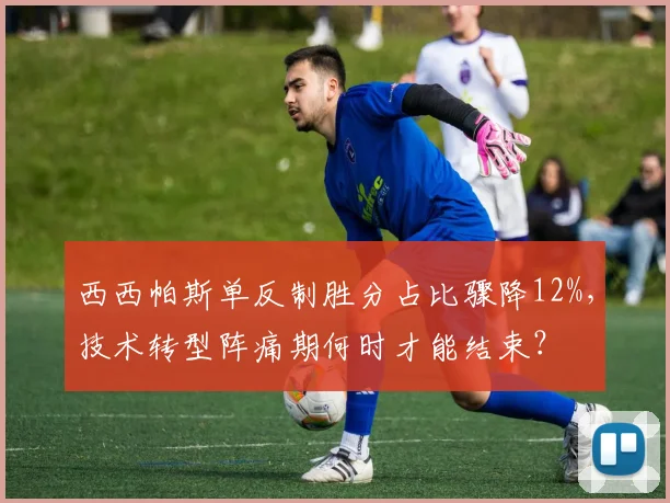 西西帕斯单反制胜分占比骤降12%,技术转型阵痛期何时才能结束?